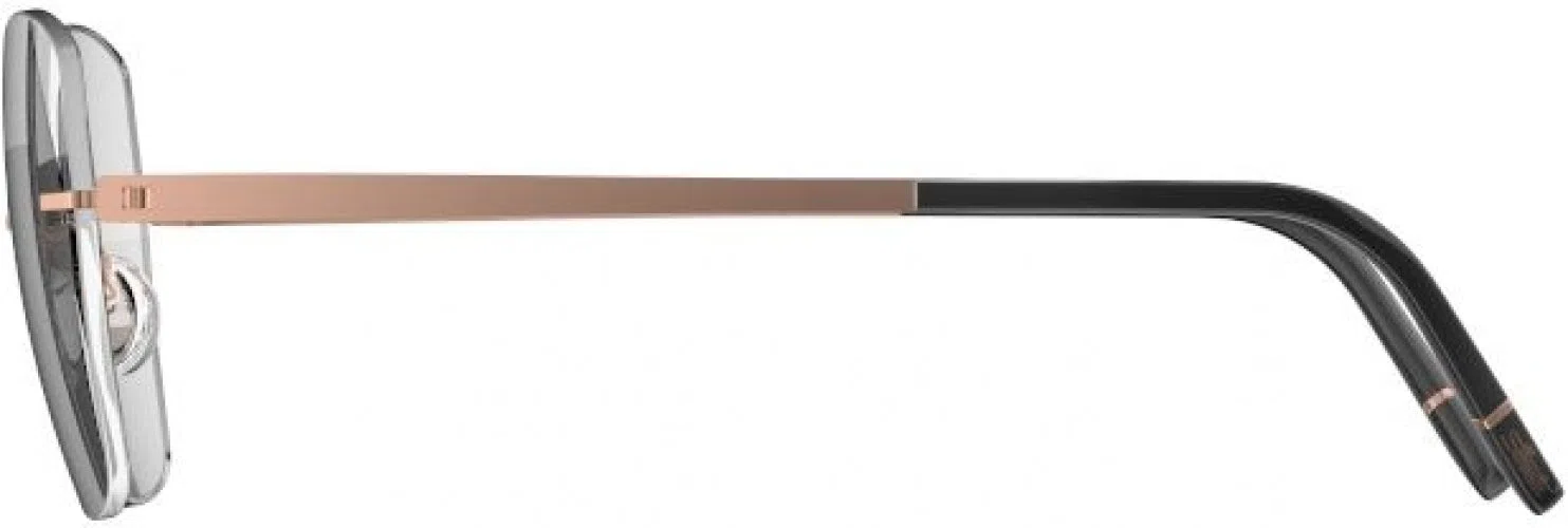 Silhouette Momentum Aurum Demo Rimless 5564 Eyeglasses - view 17